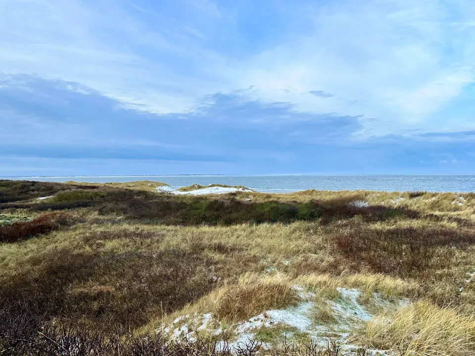 Coastal landscape with sand dunes