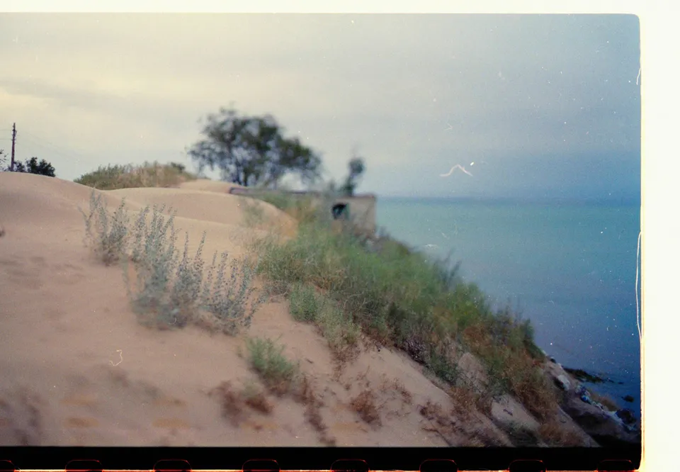 Coastal landscape with sand dunes and vegetation